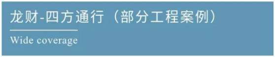 龙财工程案例