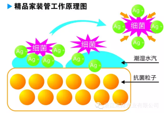 龙财PPR无铅抗菌管